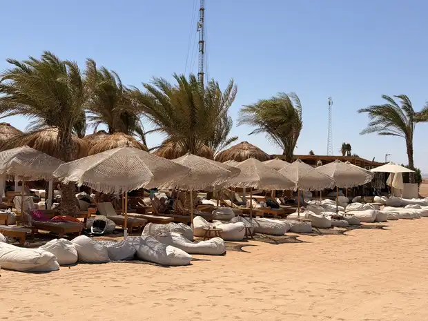 Slaměné slunečníky a lehátka se sedacími vaky na pláži SALT El Gouna, palmy ve větru